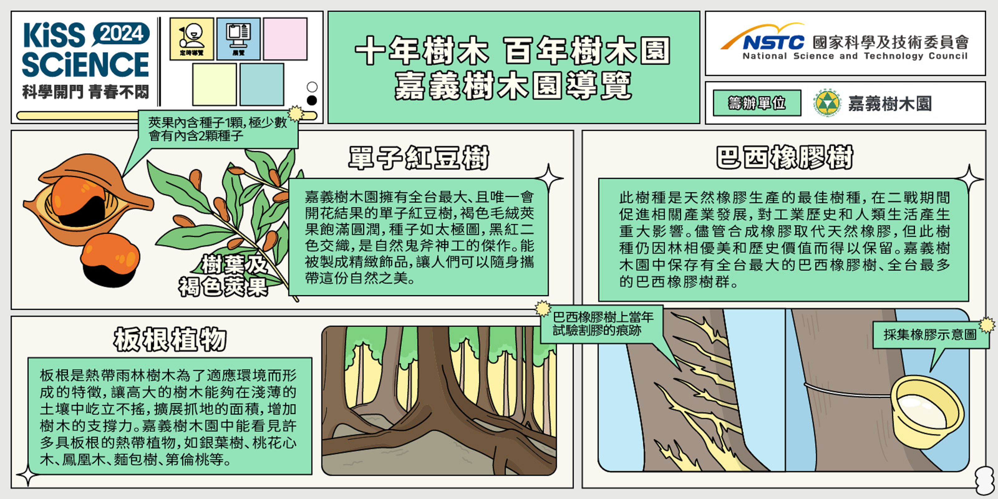 十年樹木,百年樹木園 - 嘉義樹木園導覽