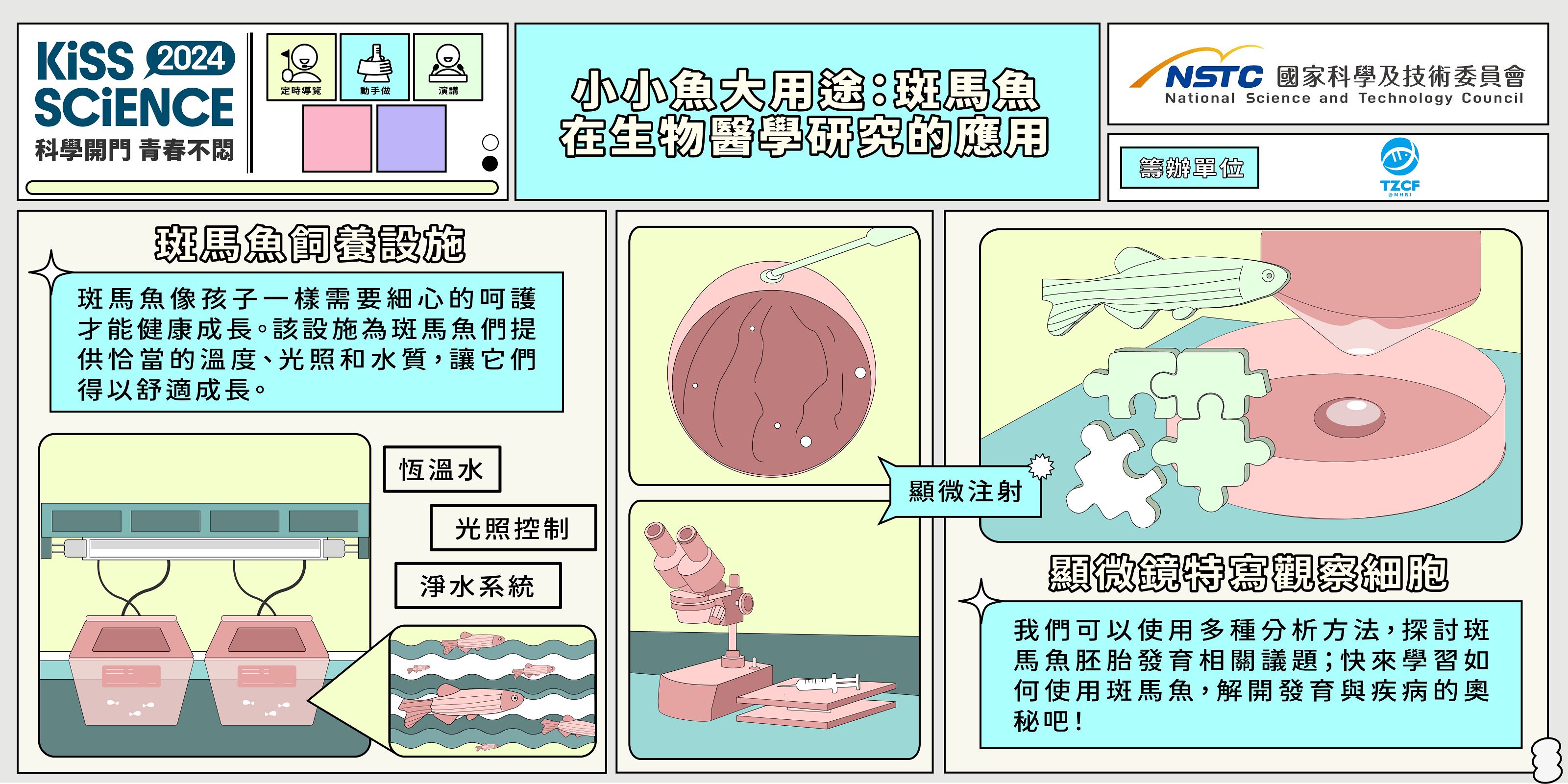  小魚大用途：斑馬魚在生物醫學研究的應用